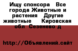 Ищу спонсора - Все города Животные и растения » Другие животные   . Кировская обл.,Сезенево д.